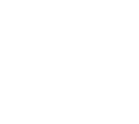 FiveM Logo